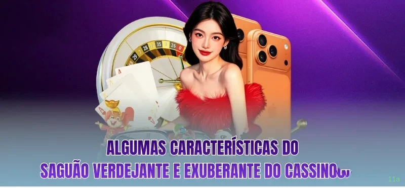 11a BR